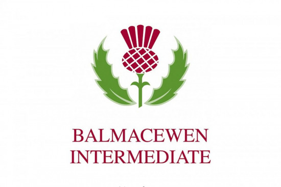                                                         Balmacewen Intermediate