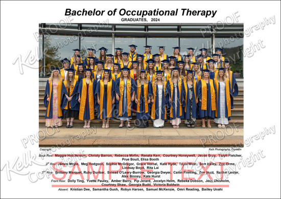 Occupational Therapy 2024